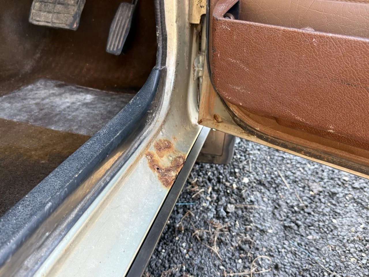 IMG_1218 – grande.jpeg