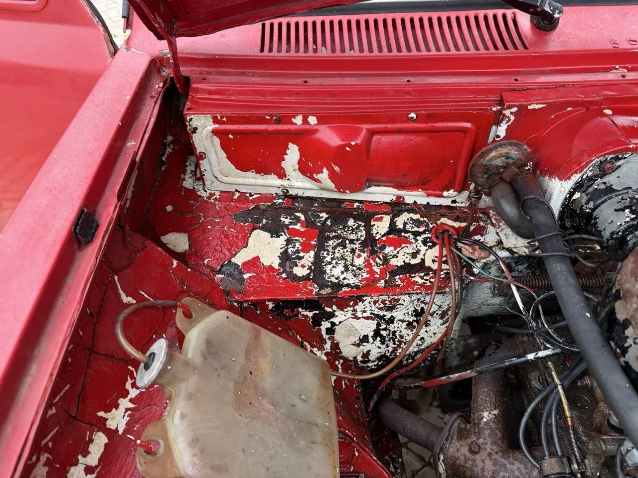 IMG_9678 – grande.jpeg