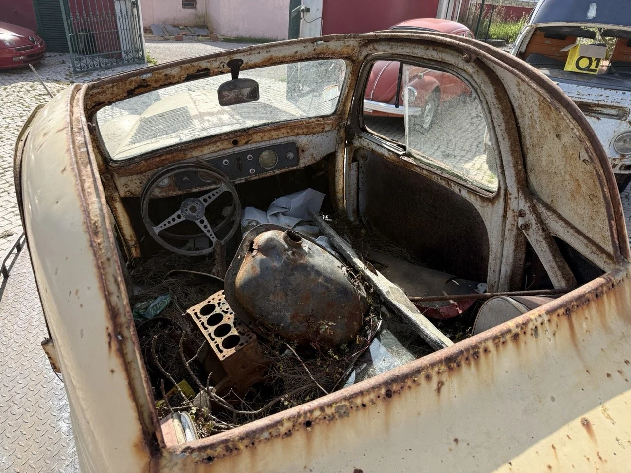 IMG_3165 – grande.jpeg