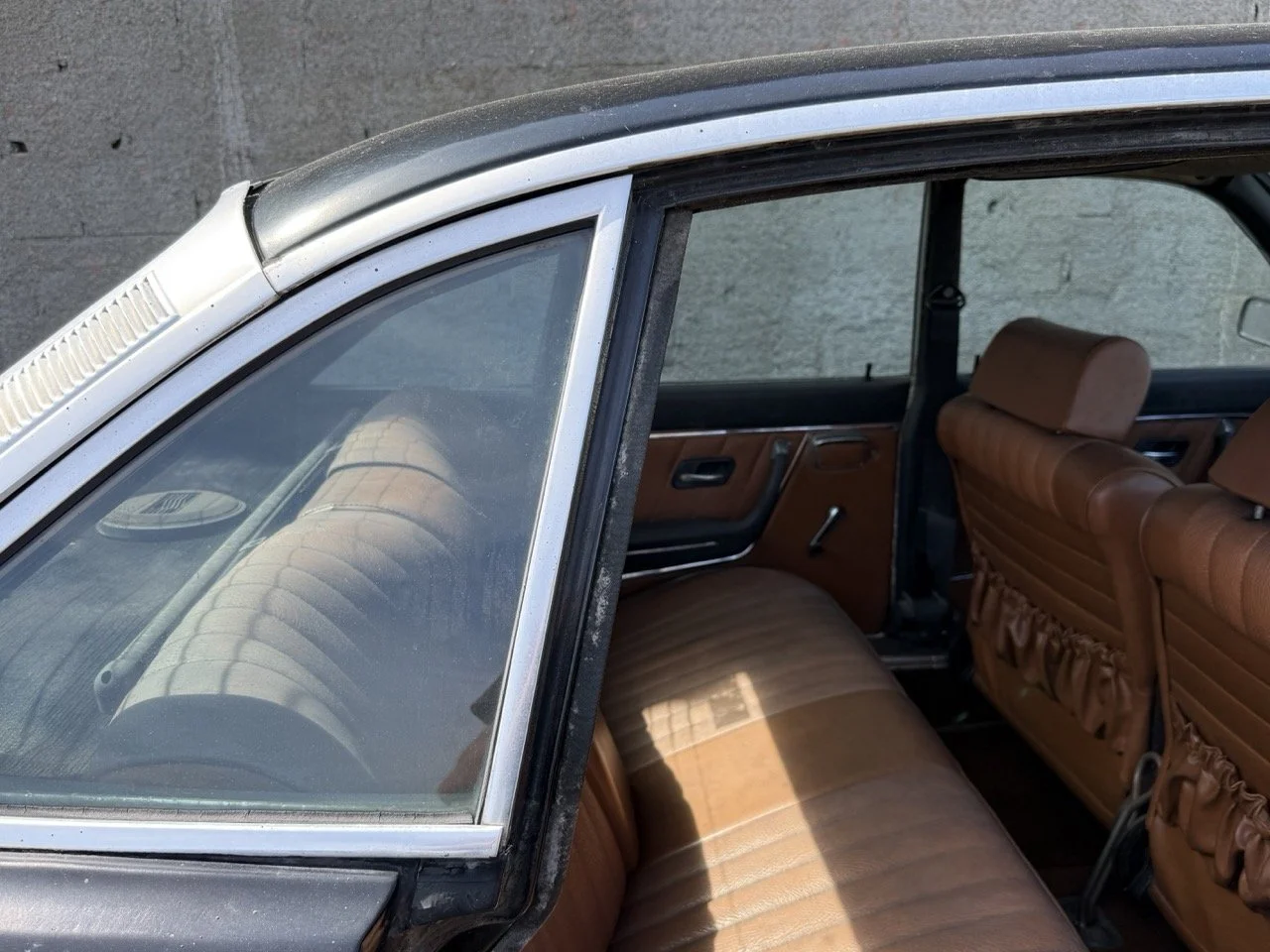 IMG_0596 – grande.jpeg