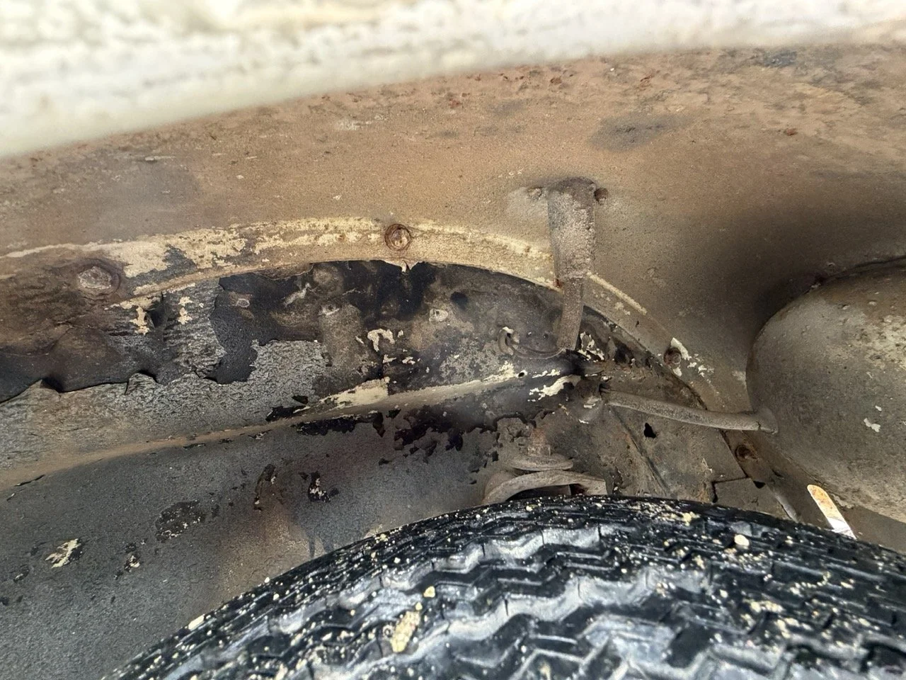 IMG_8677 – grande.jpeg