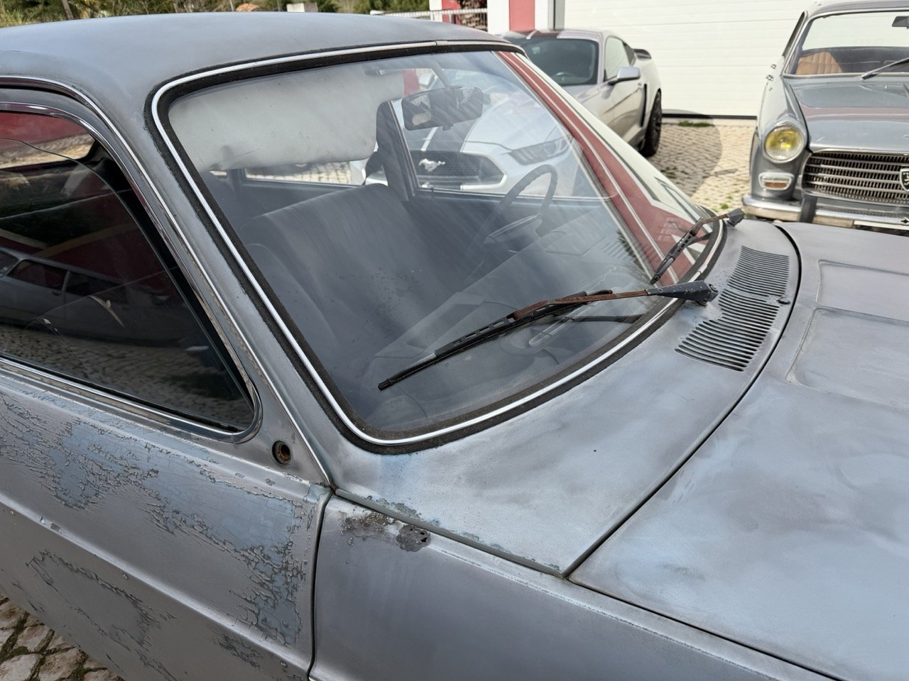 IMG_4855 – grande.jpeg