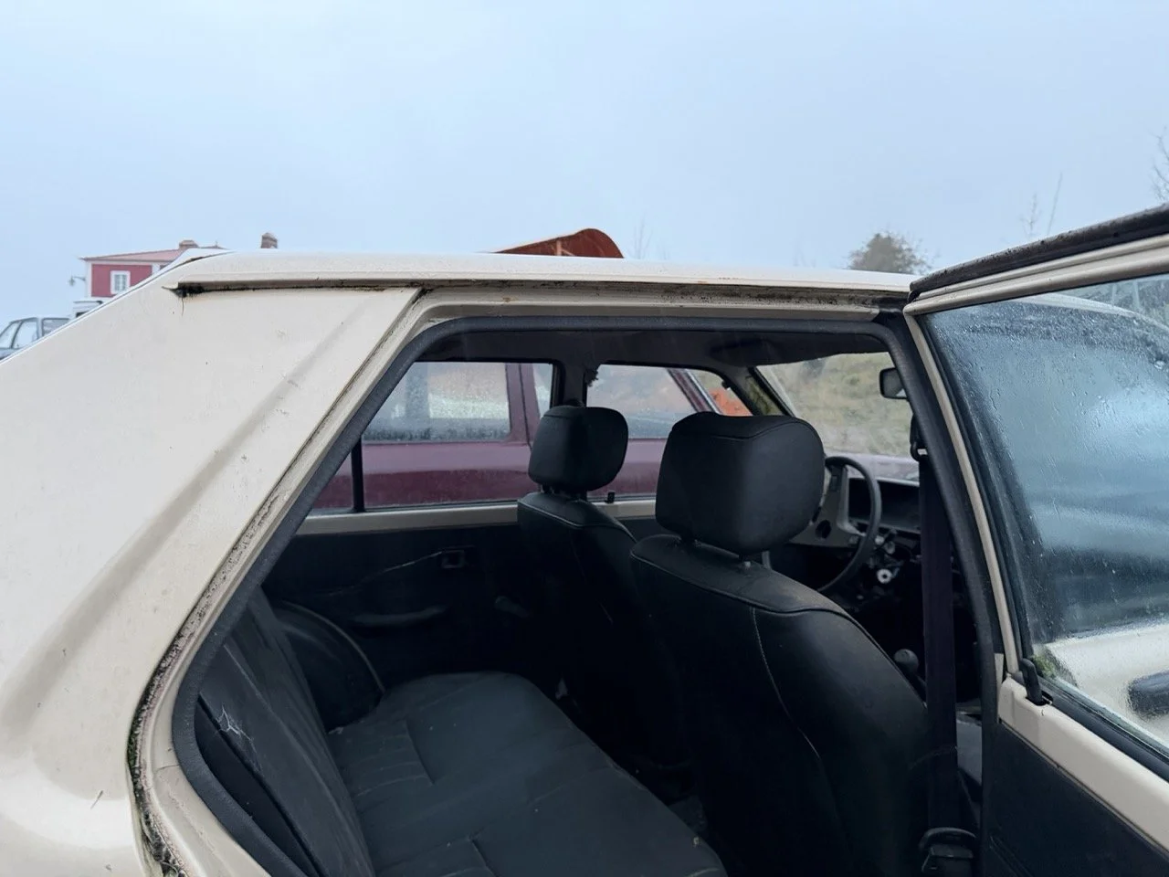 IMG_0223 – grande.jpeg