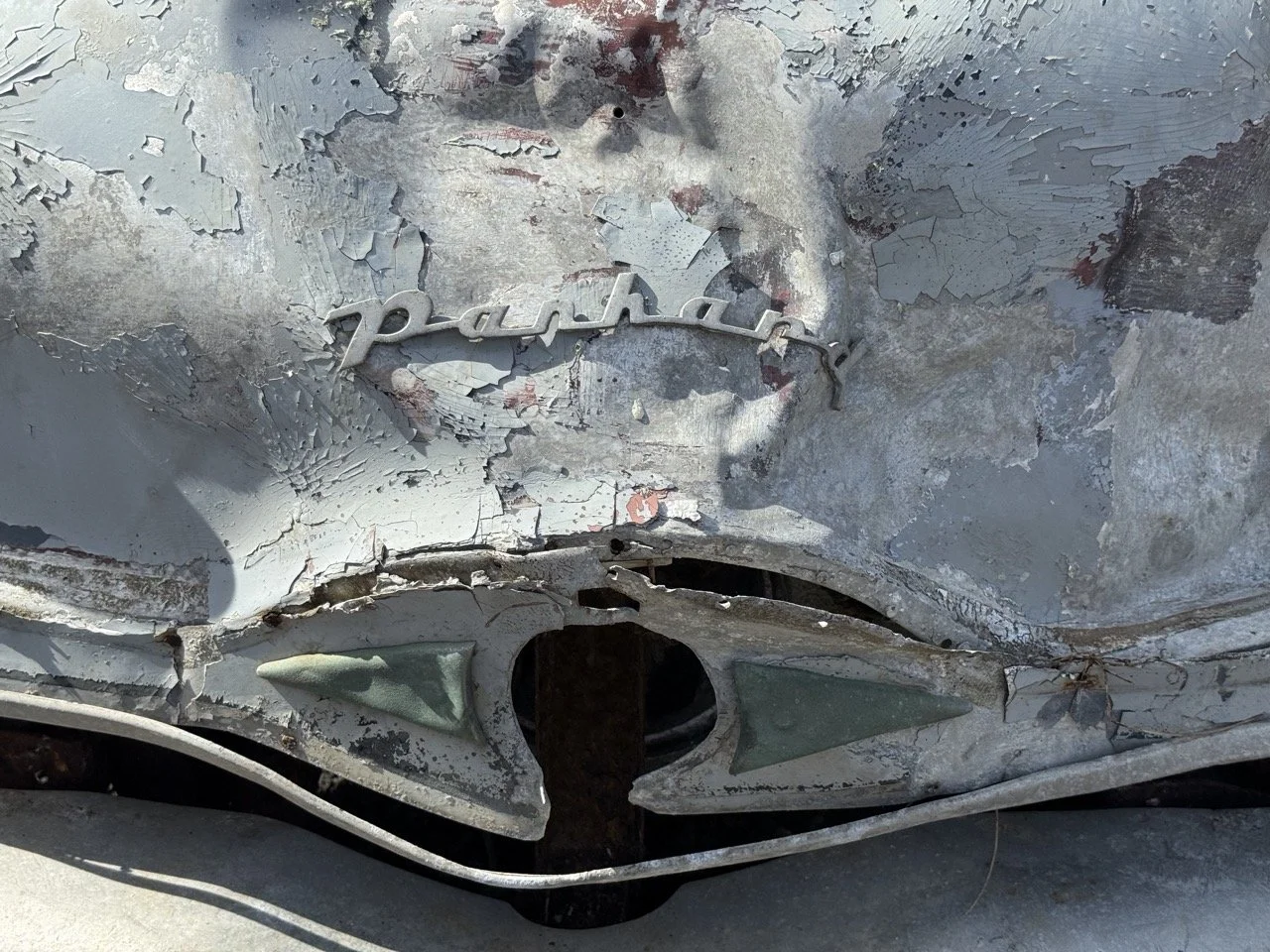 IMG_0330 – grande.jpeg