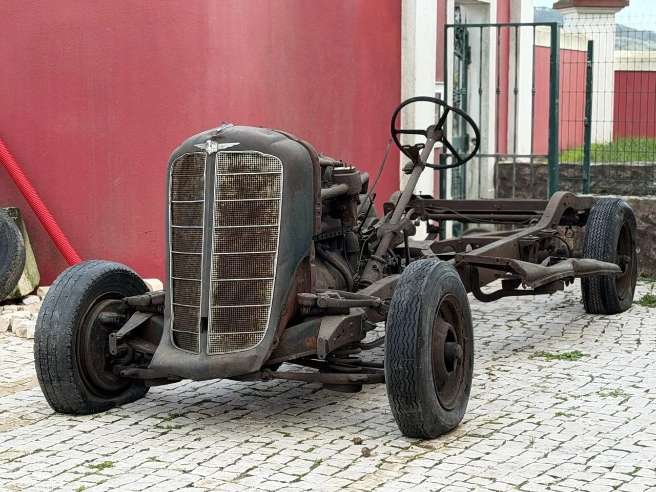 IMG_7033 – grande.jpeg