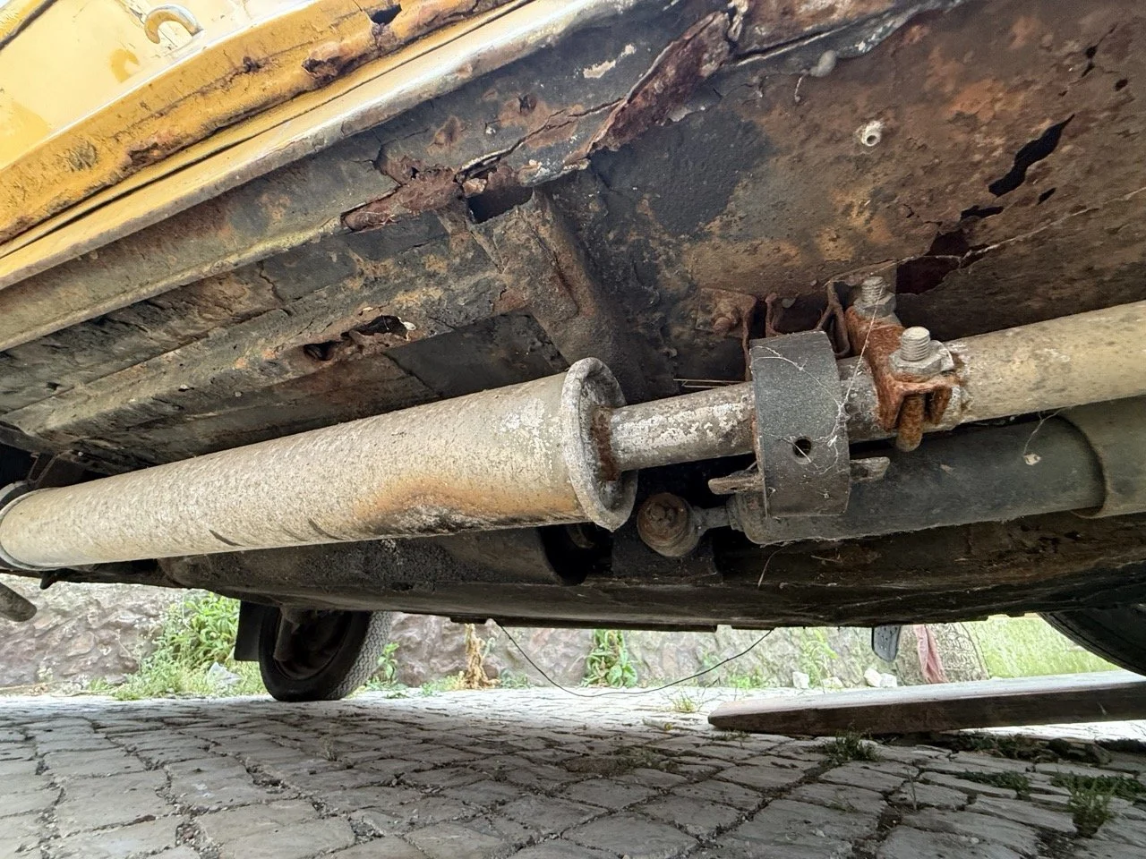 IMG_3809 – grande.jpeg