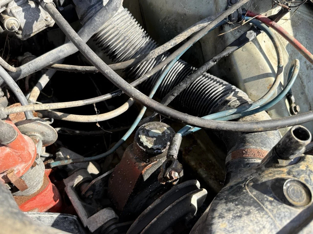 IMG_1169 – grande.jpeg