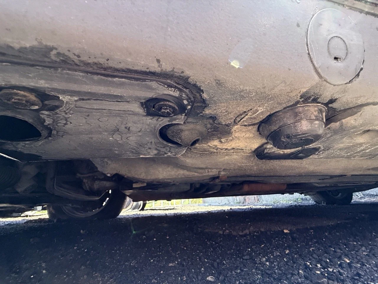 IMG_1796 – grande.jpeg