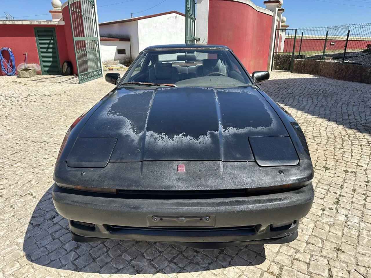 IMG_3023 – grande.jpeg