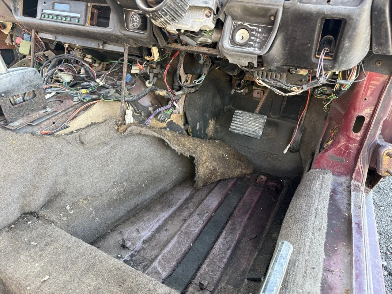 IMG_2980 – grande.jpeg