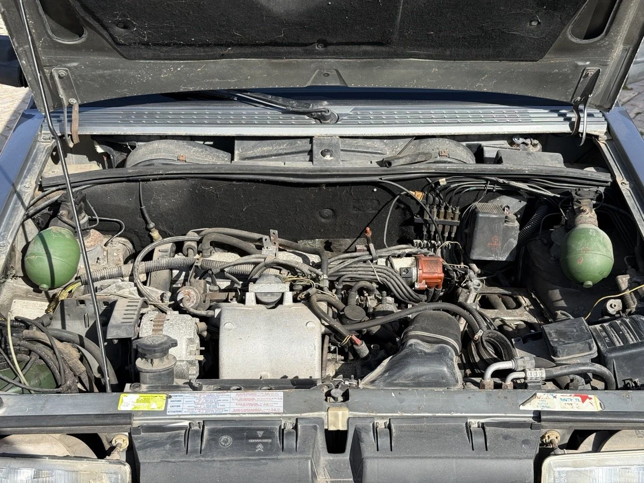 IMG_2549 – grande.jpeg