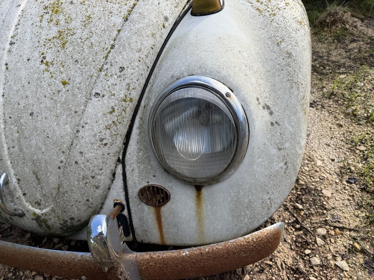 IMG_8589 – grande.jpeg