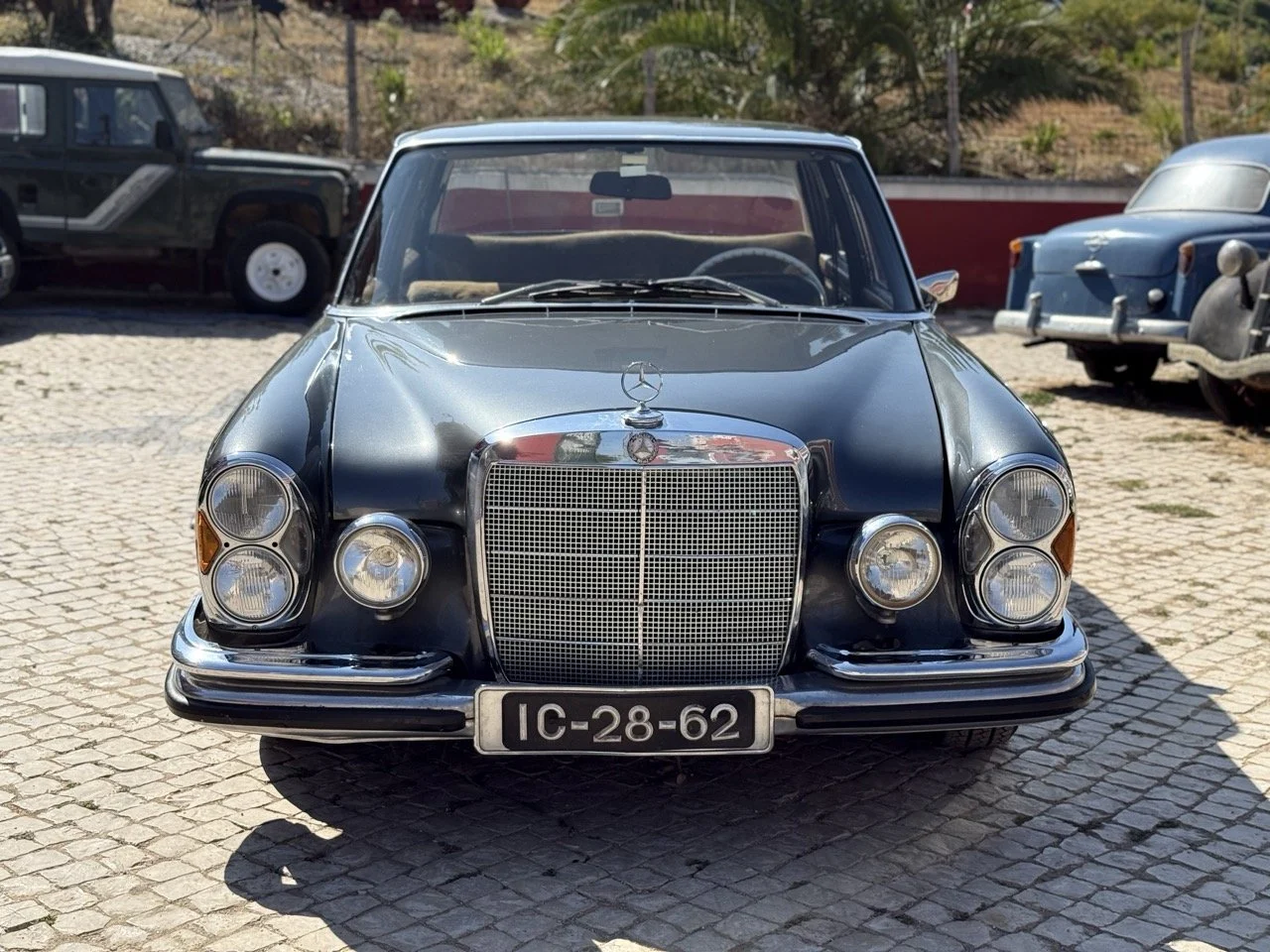 IMG_4699 – grande.jpeg