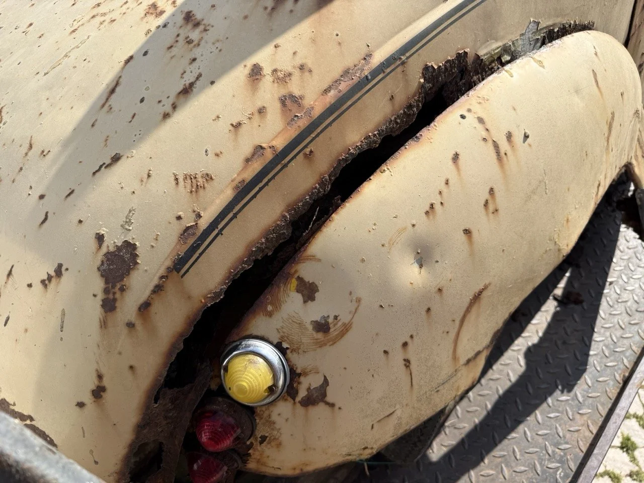 IMG_3181 – grande.jpeg