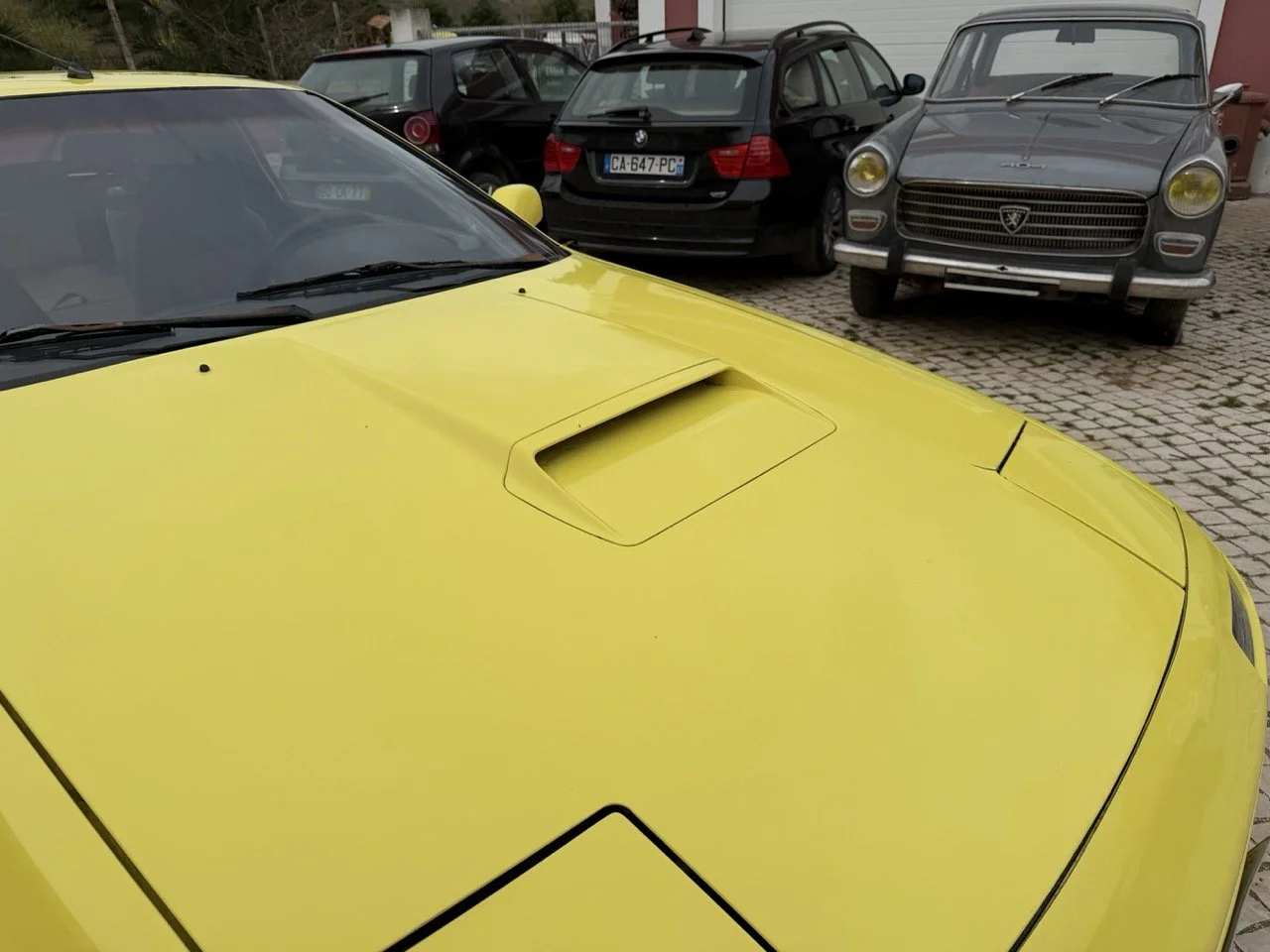 IMG_9768 – grande.jpeg