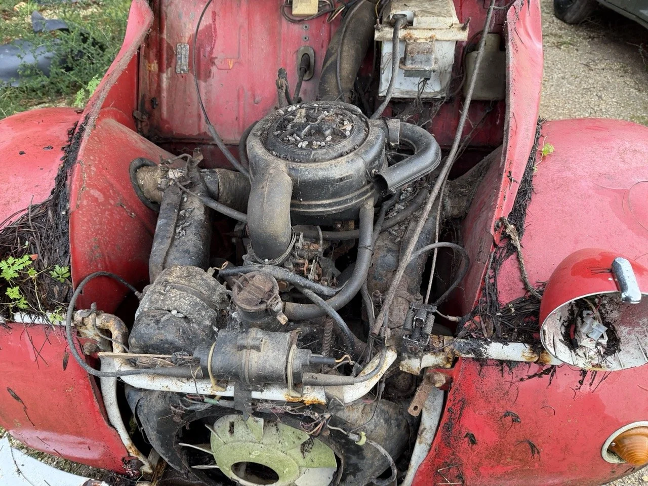 IMG_5520 – grande.jpeg