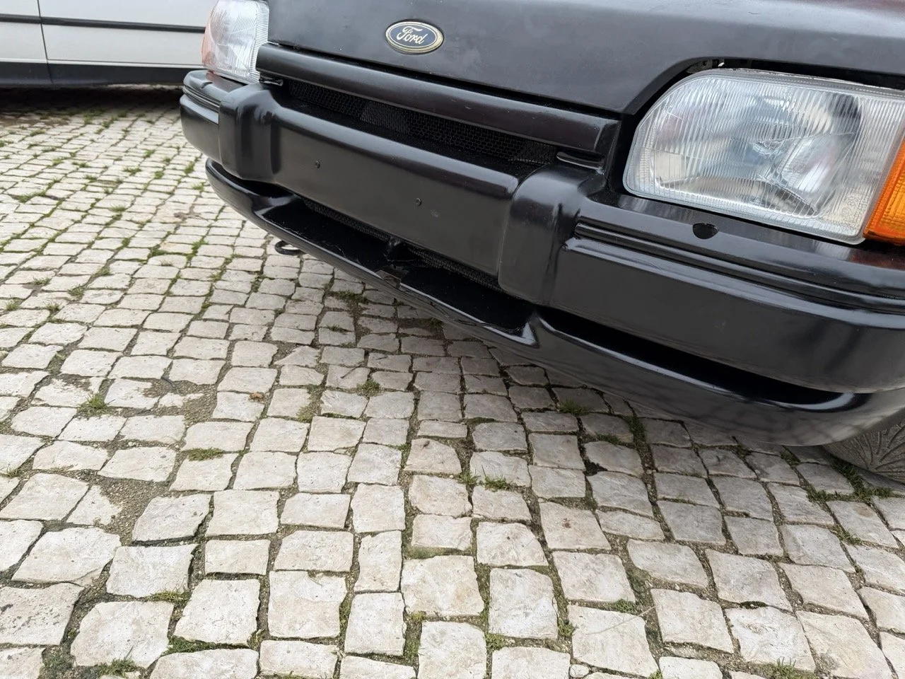 IMG_1296 – grande.jpeg