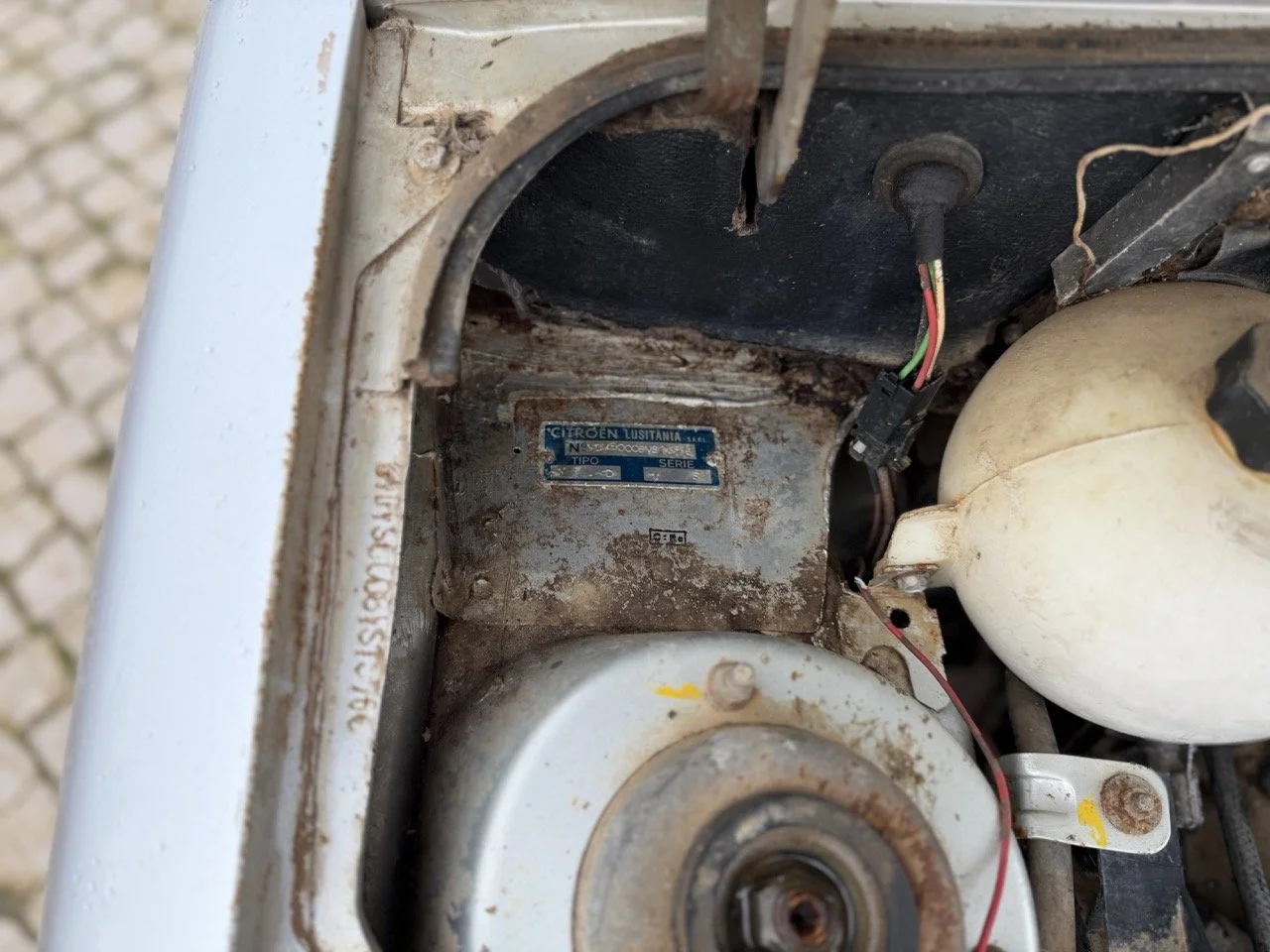 IMG_0522 – grande.jpeg