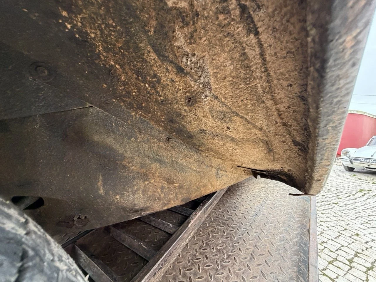 IMG_1904 – grande.jpeg