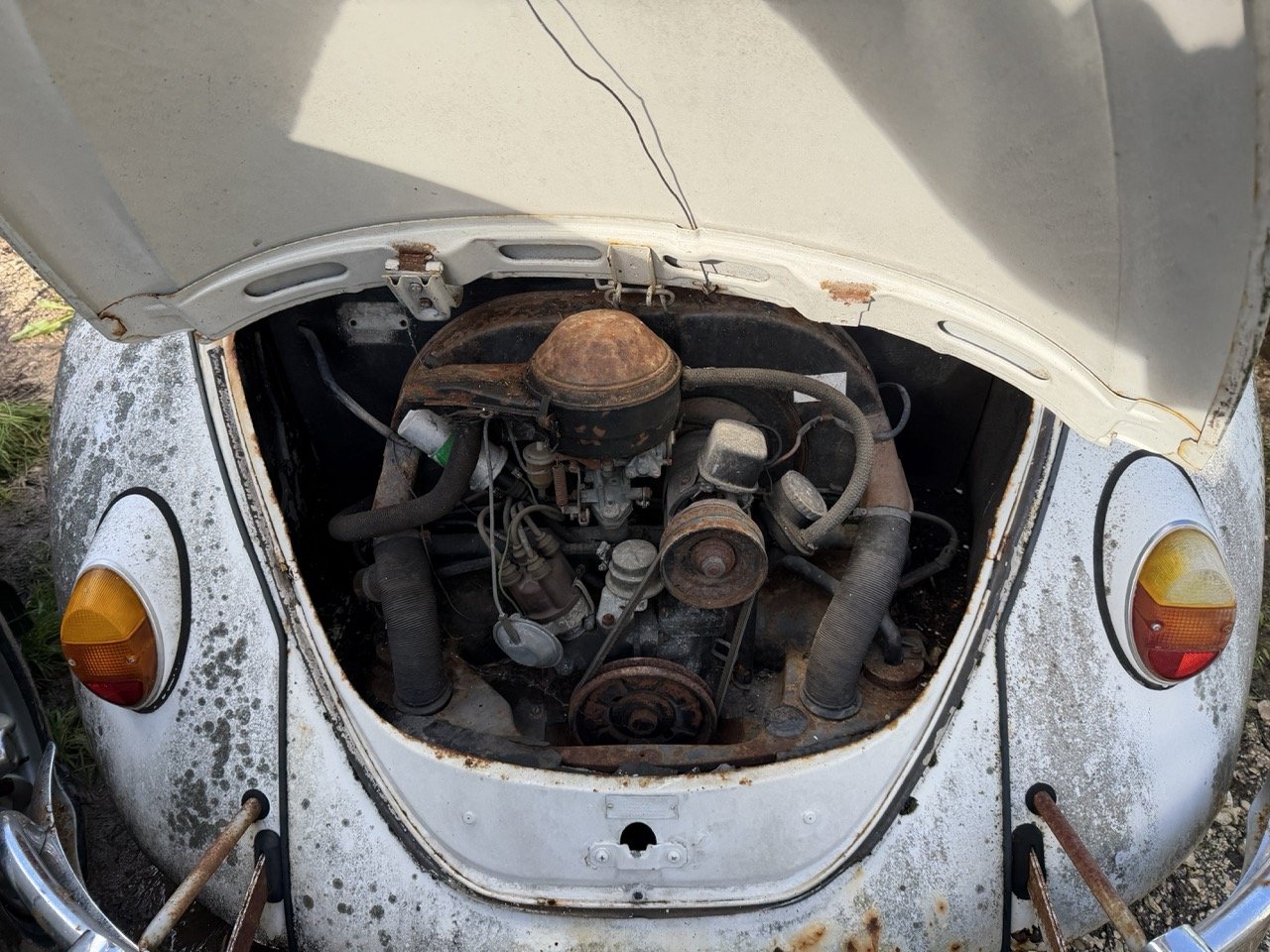 IMG_8570 – grande.jpeg