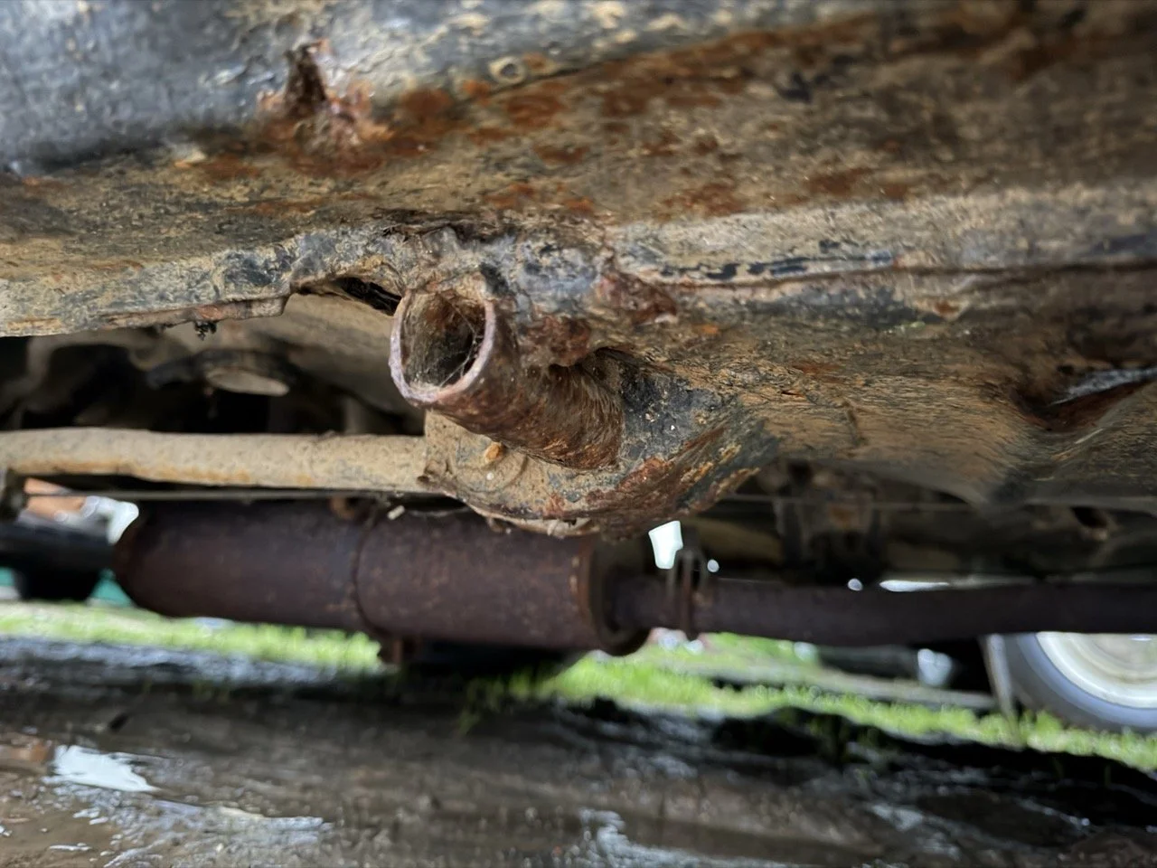 IMG_0134 – grande.jpeg