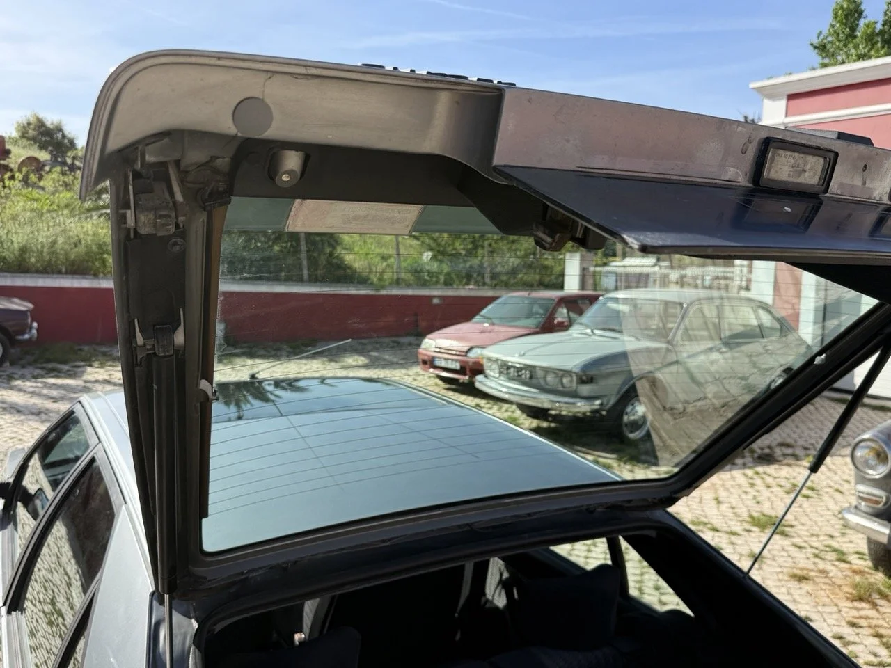 IMG_2584 – grande.jpeg