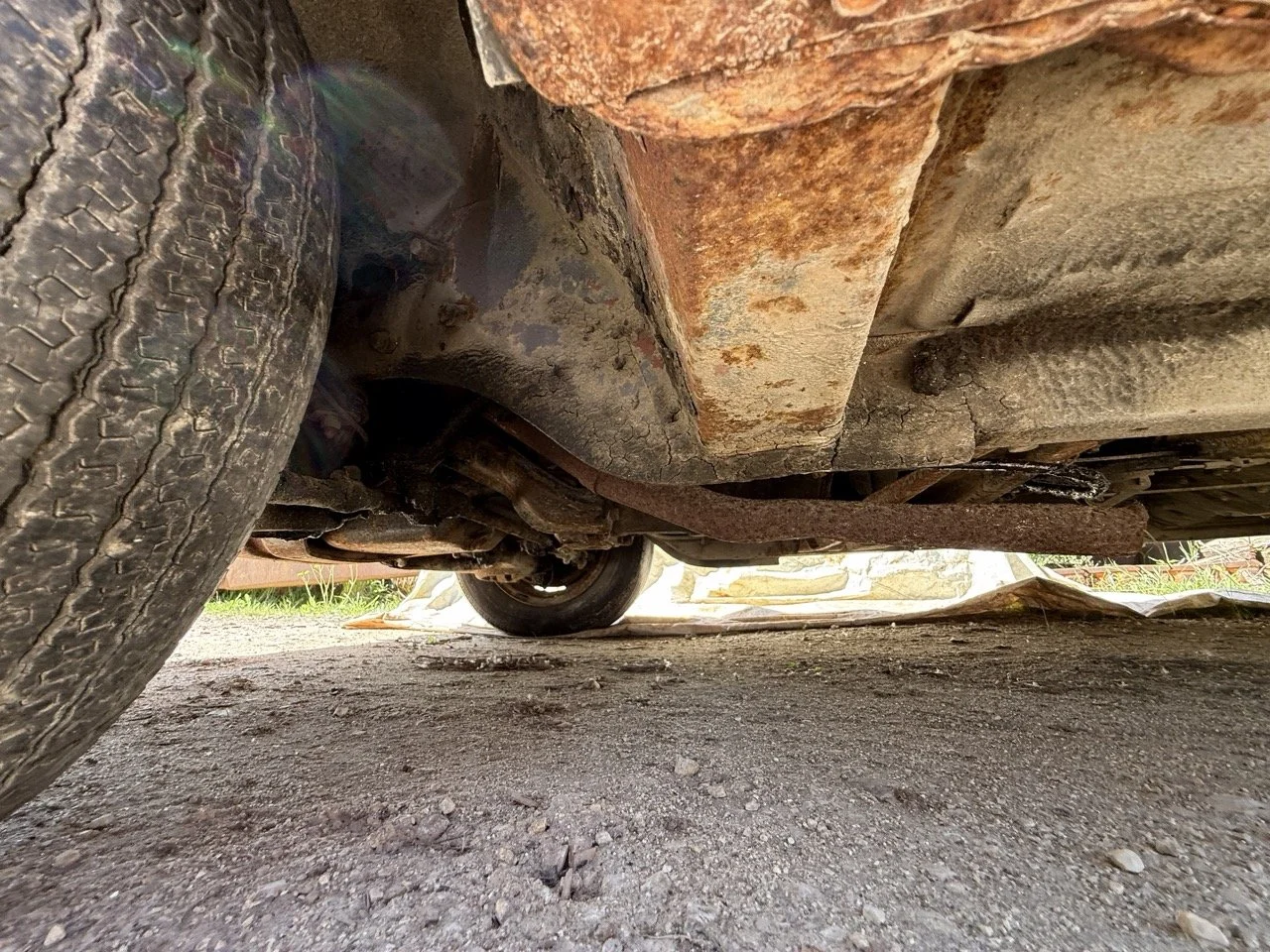 IMG_3233 – grande.jpeg