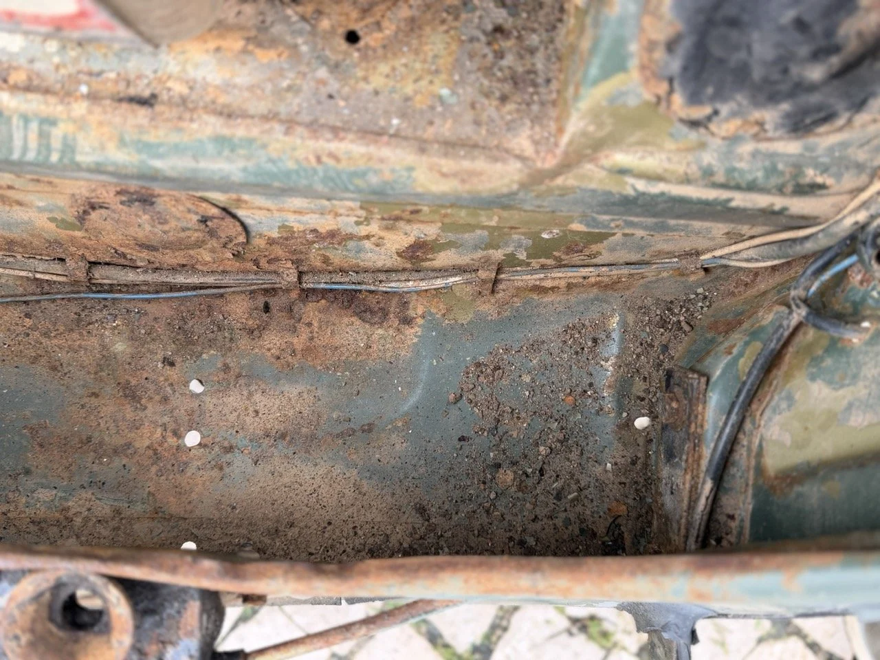 IMG_1184 – grande.jpeg