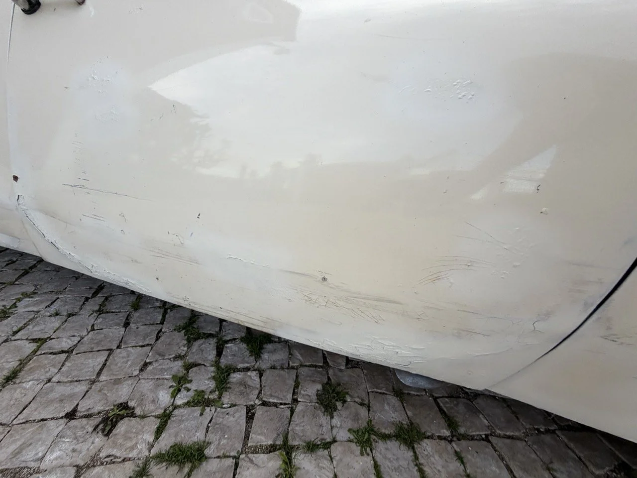 IMG_5987 2 – grande.jpeg