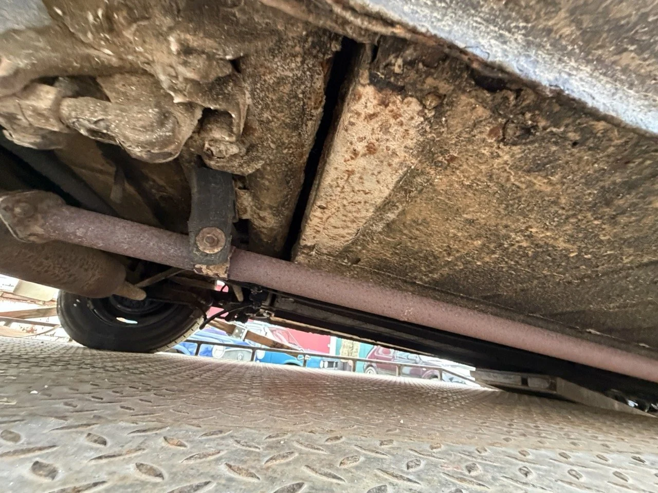 IMG_1896 – grande.jpeg