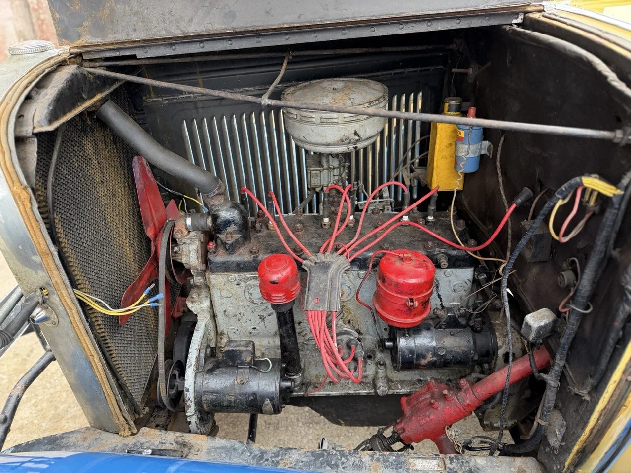 IMG_1543 – grande.jpeg