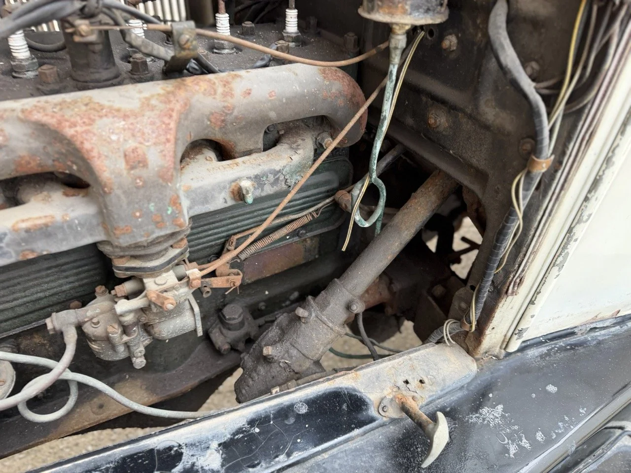 IMG_1700 – grande.jpeg