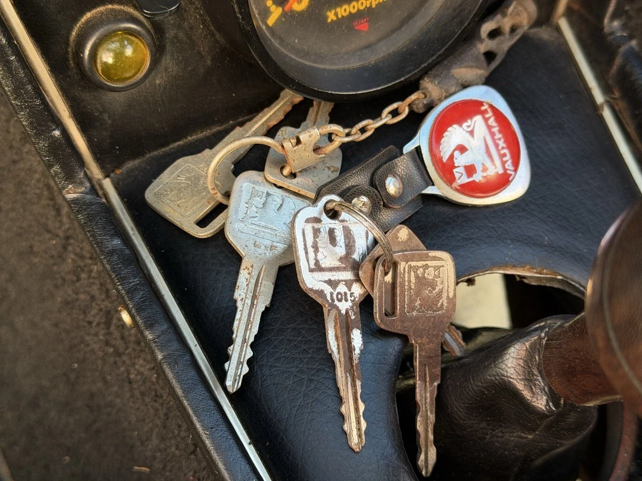 IMG_2365 – grande.jpeg