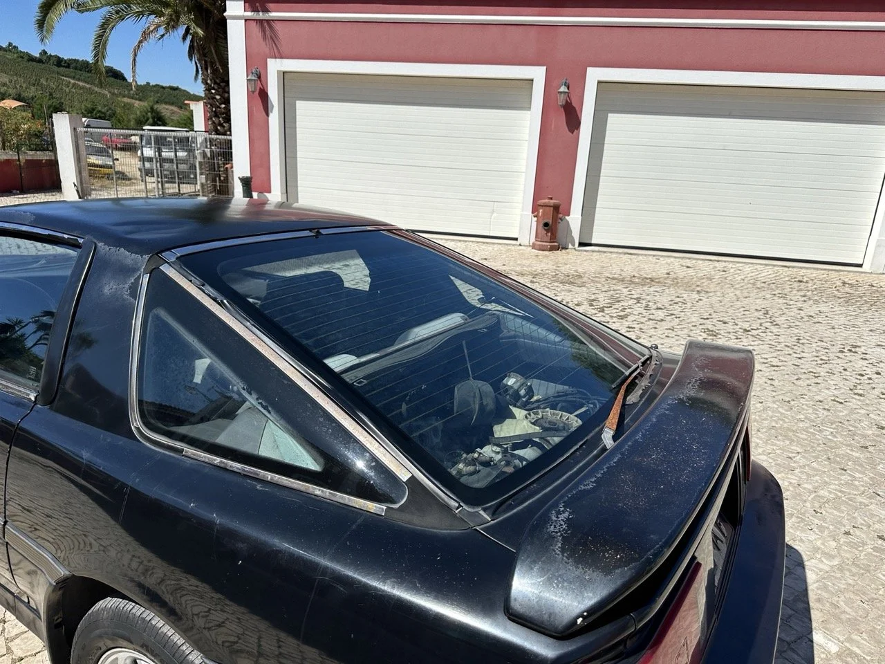 IMG_3163 – grande.jpeg