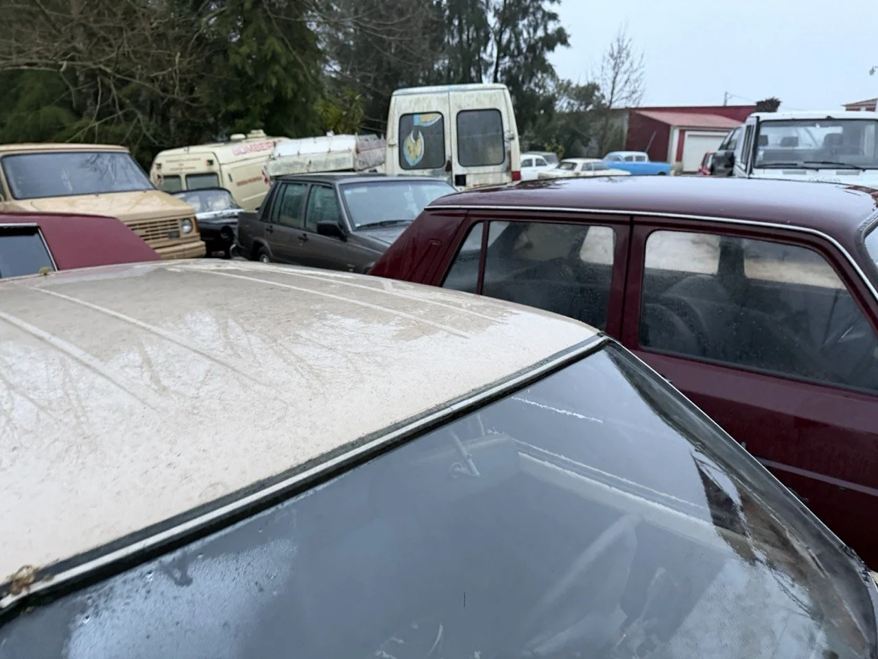 IMG_0262 – grande.jpeg