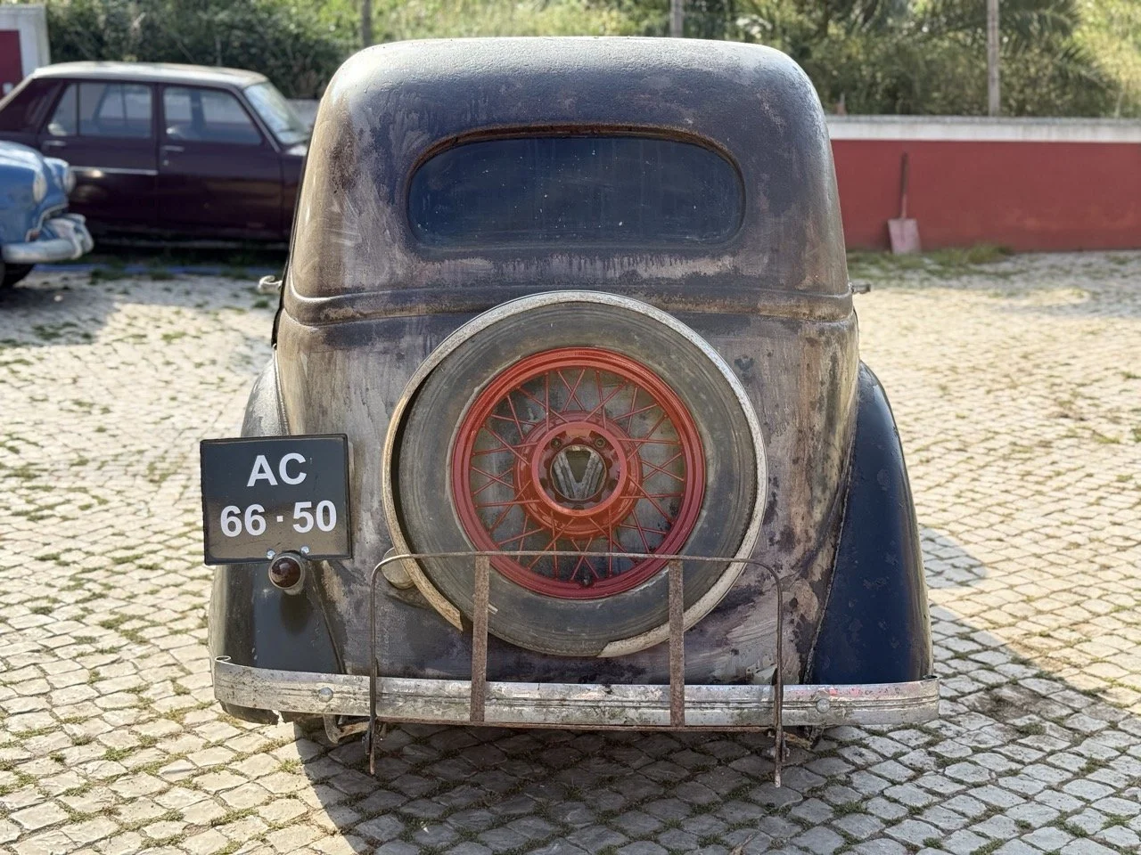 IMG_3678 – grande.jpeg