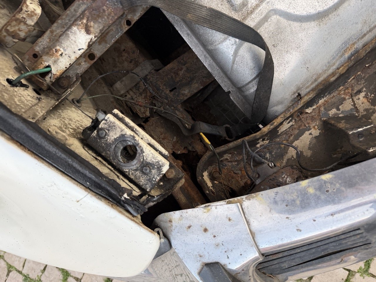 IMG_5970 2 – grande.jpeg