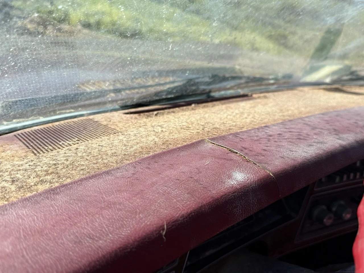 IMG_3081 – grande.jpeg