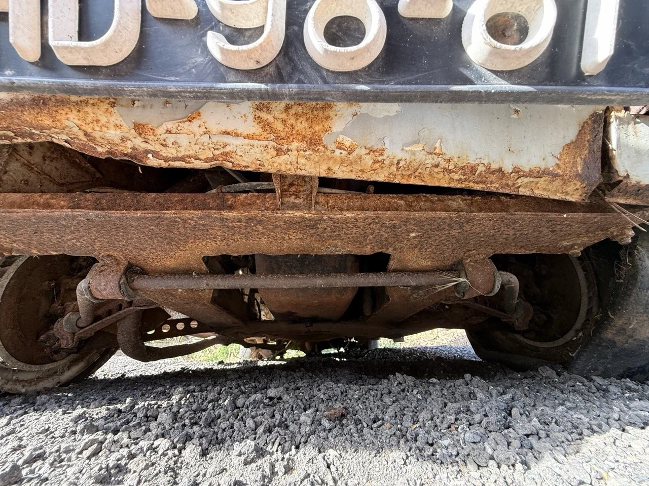 IMG_0508 – grande.jpeg