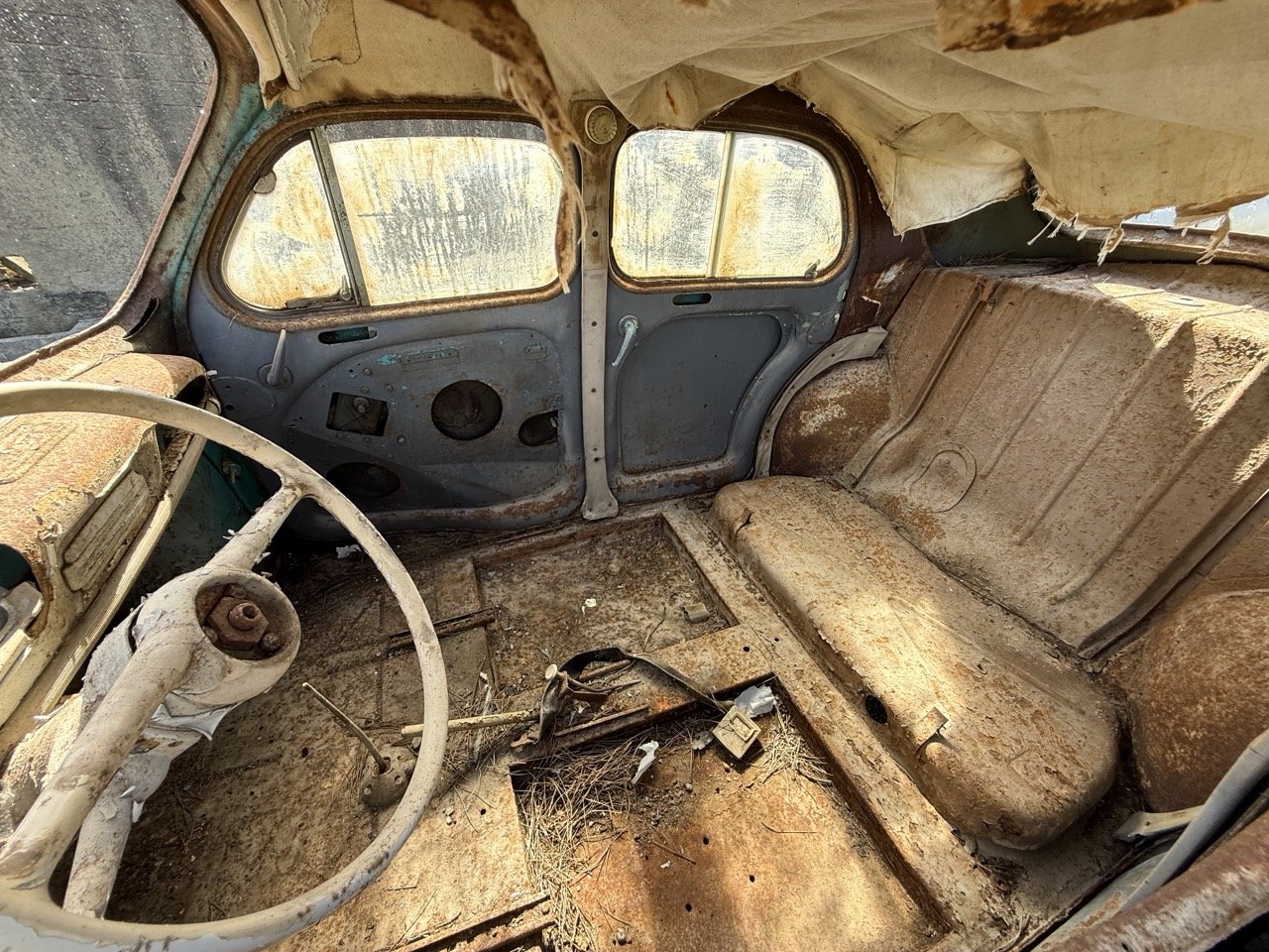 IMG_0305 – grande.jpeg