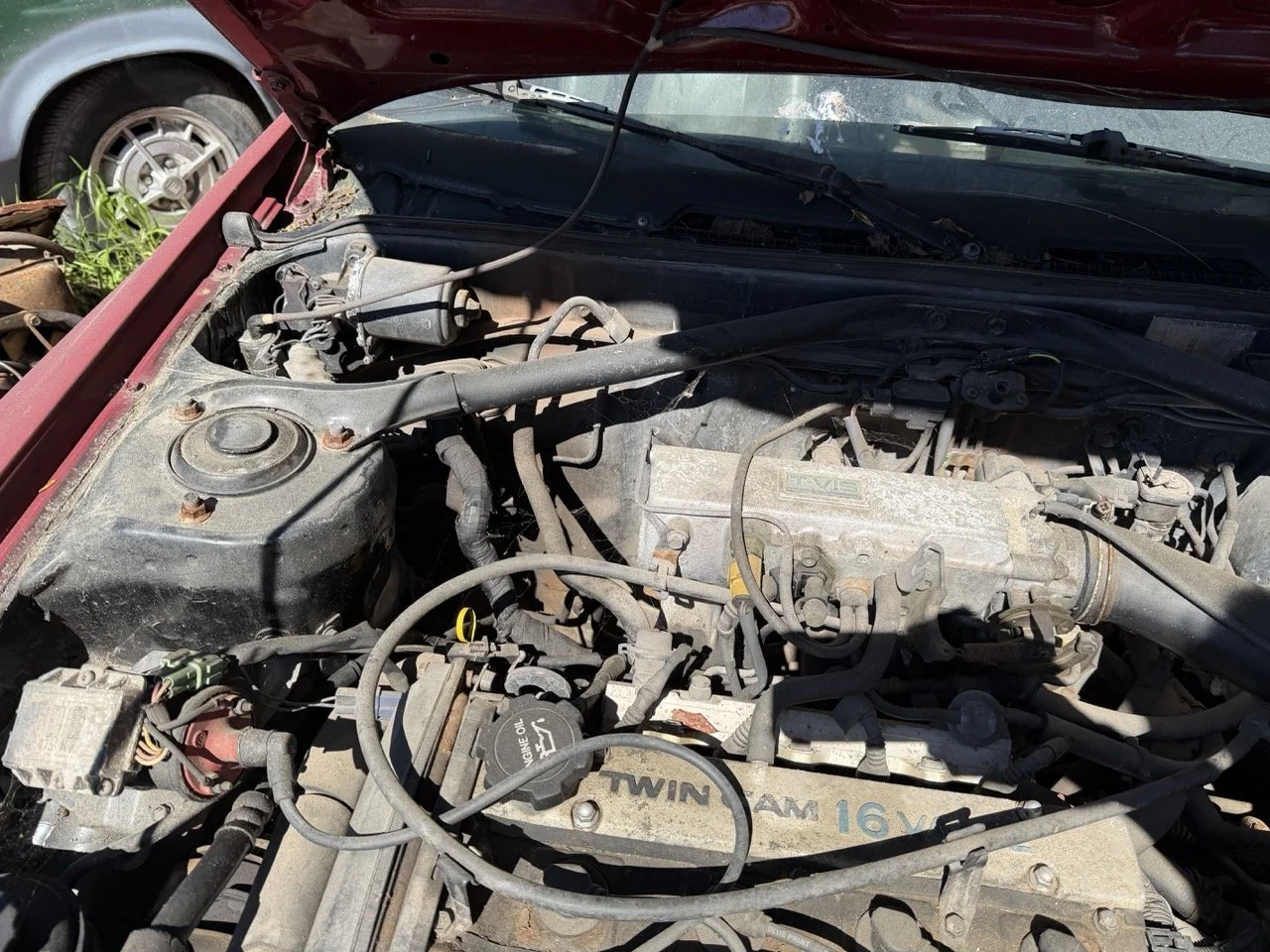 IMG_7619 – grande.jpeg