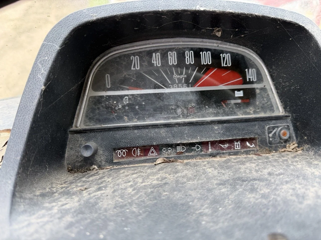 IMG_1368 – grande.jpeg