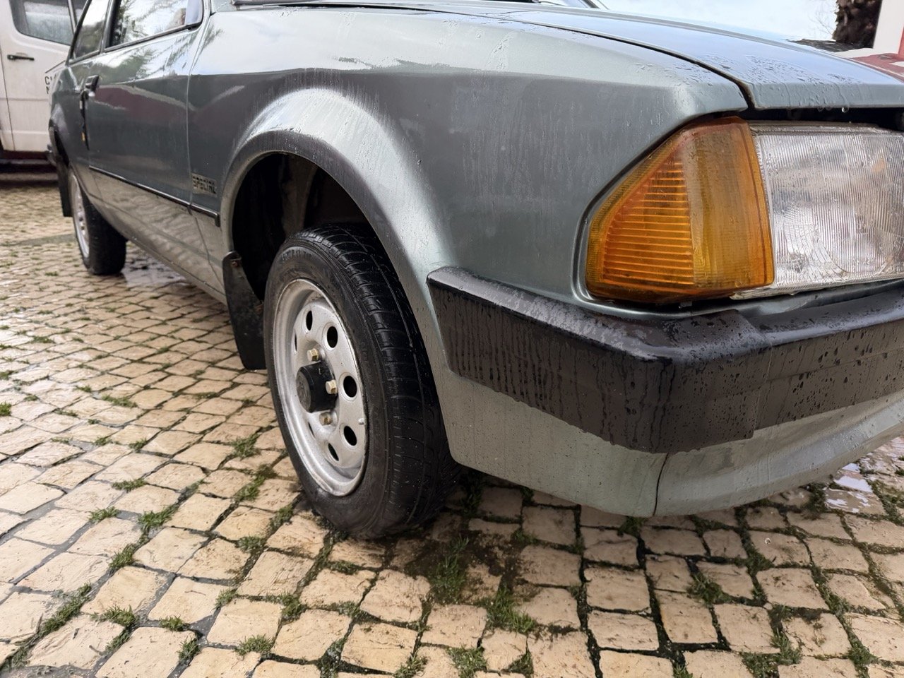 IMG_0622 – grande.jpeg