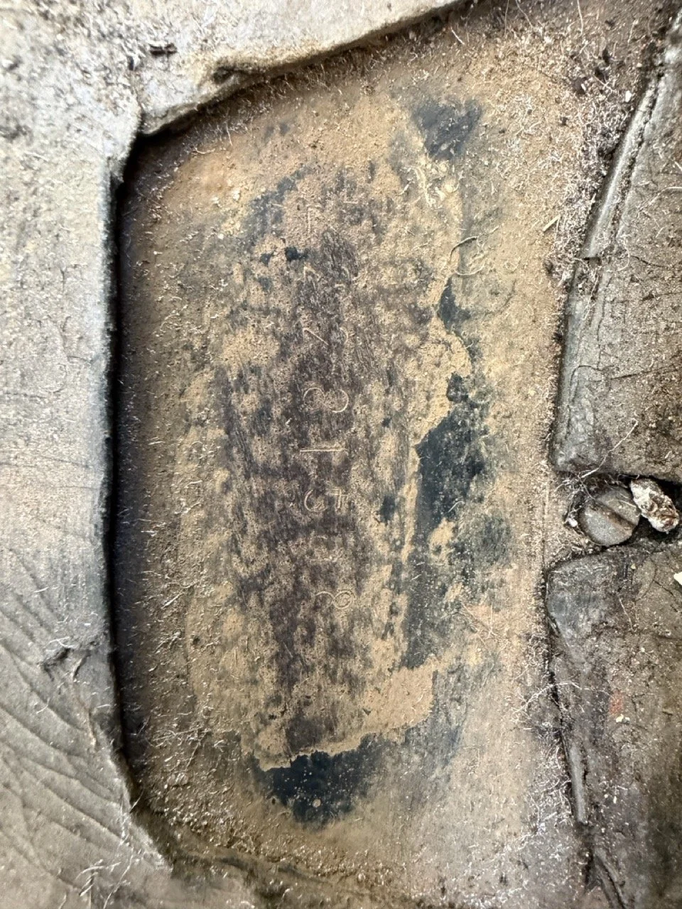 IMG_1858 – grande.jpeg