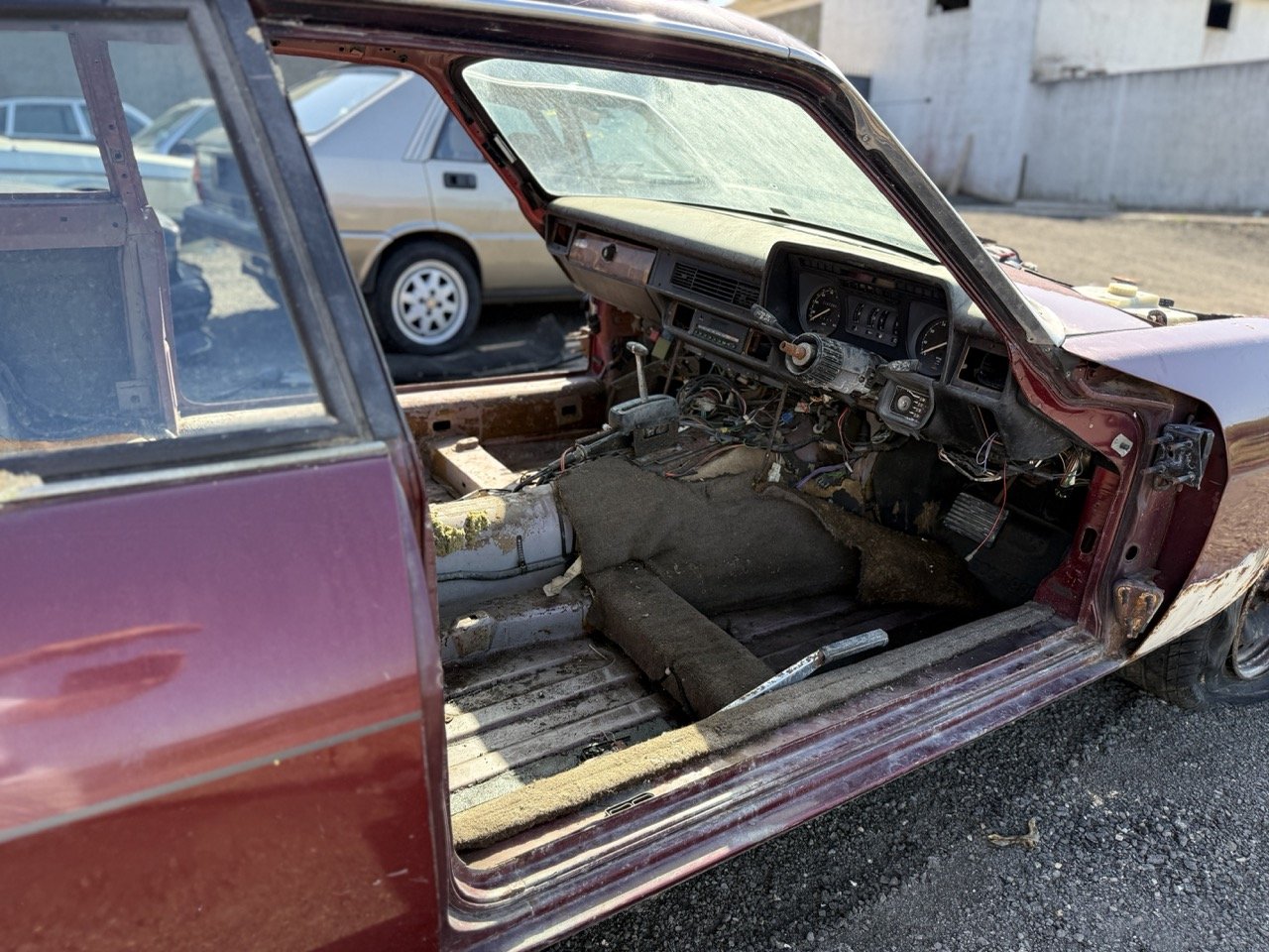 IMG_2978 – grande.jpeg