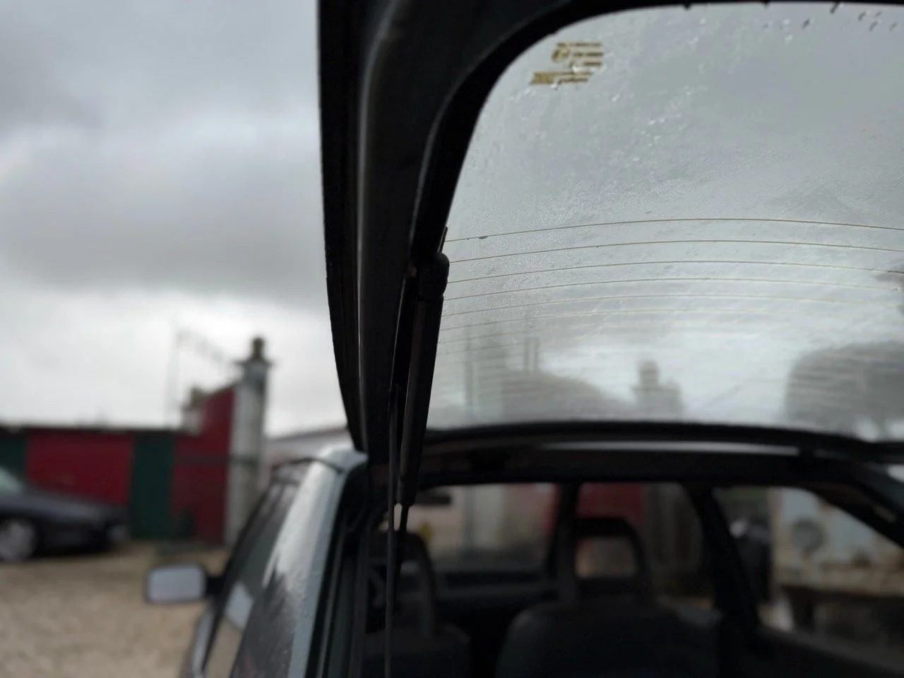 IMG_0609 – grande.jpeg