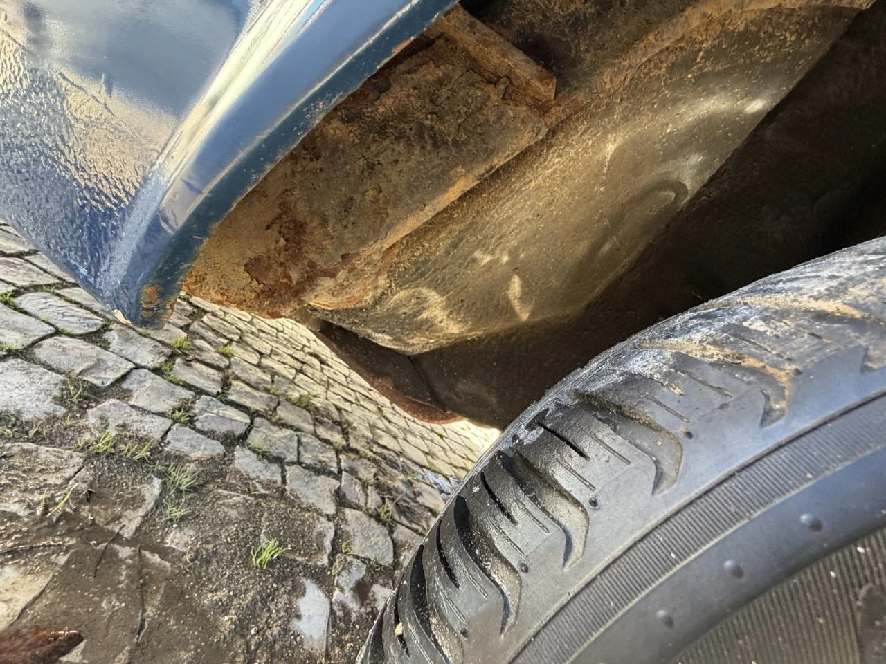 IMG_1893 – grande.jpeg