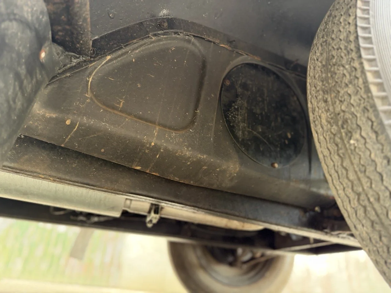 IMG_1479 – grande.jpeg