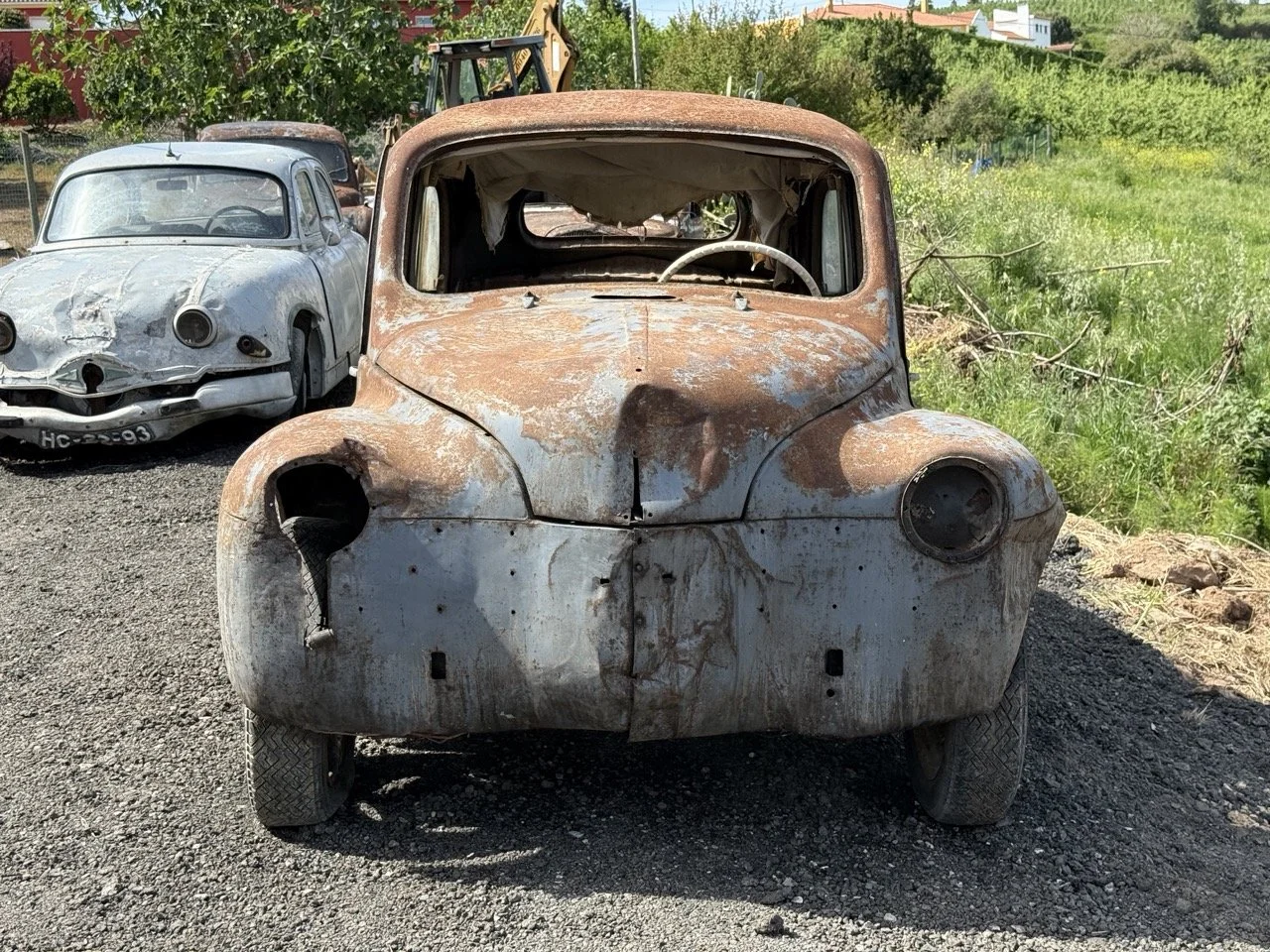 IMG_0263 – grande.jpeg