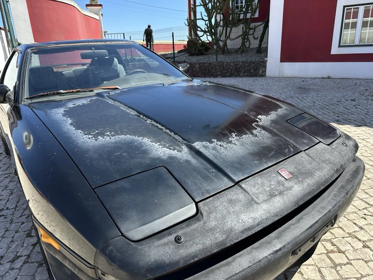 IMG_3143 – grande.jpeg